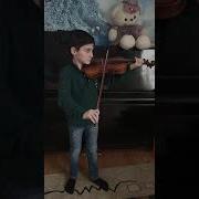 Котик Со Скрипкой