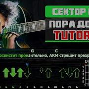 Сектор Газа На Акустической Гитаре
