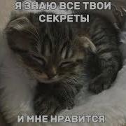 Мёртвая Красавица