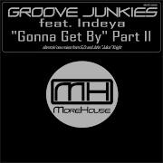Groove Junkies Gonna Get By Part Ii