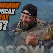 И И А Колесниковы