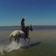Wonderful Life Lara Fabian Remix 2019 New
