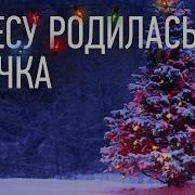 Новогодние Песни Здравствуй Ёлка