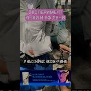 В Солнечных Очках