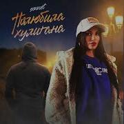 Полюбила Хулигана Соннет