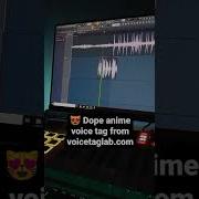 Voicetag