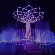 Tree Of Life Suite Wild Side