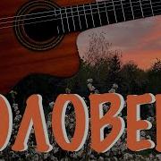 Ефимыч Соловей