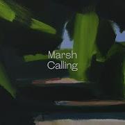 Calling Marsh