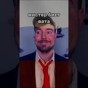 Мистер Бист Скинь Котиков