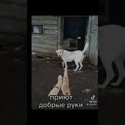 В Этом Мире Есть Добро Я Верю