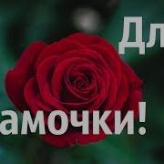 Поздравление С Днем Рождения Маме От Дочери В Прозе