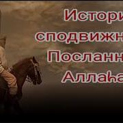 Истории О Сподвижниках Пророка Мухаммада