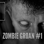 Zombie Sound Effect