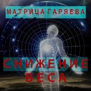 Матрица Гаряева Снижение Веса Похудение