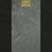 Туй Дар Зери Хисор