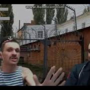 Мопс Рыгает В Тазик