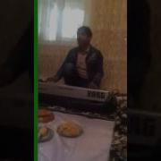 Кадам Крбон Овози Асп