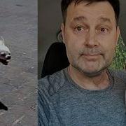 Не Такая Чипа Чипа