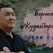Борончу Сени Суйом