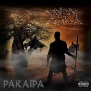 Dividing The Element Pakaipa