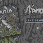 Nanotek Dt S