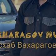 Асхаб Вахарагов Безамо Кийра Багина Са