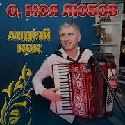 Під Вербою Андрій Кок