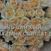 Дала Декъал Йойл Хьо Са Мар Нан