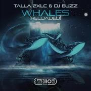 Talla 2Xlc Whales Extended