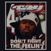 Rappin 4 Tay Call It What You Want To