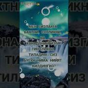 Хайрли Тонг Тилаклар
