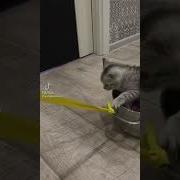 Я Уеду На Кухню Мне Еда Будет Сниться