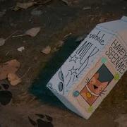 Madilyn Mei The Milk Carton