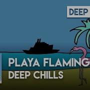 Deep Chills Playa Flamingo