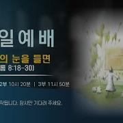 경배하며높이리1 박정훈