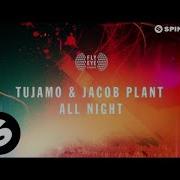 Jacob Plant All Night Remix