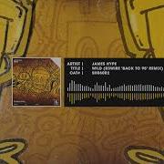 James Hype Wild R3Wire Back To 95 Remix