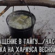 Возвращение В Тайгу Рыбалка Весной На Таёжной Речке Уха Из Хариуса