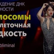 Реконструкция Днк Юности Хромосомы