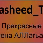 Нашидуль Ислам Иляхи С Салям