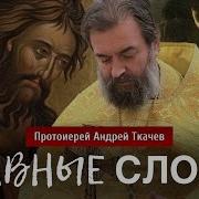 Андрей Ткачев Последнее