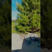 Очень Часто В Часы Ночные