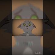Эдит Коты Воители