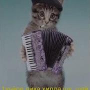 1Уьредика Хилла Шу Шай Дог Дика Хилла Шу