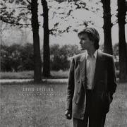 David Sylvian