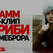 0 Грамм Клипи Гариби Меброра Rap Tj