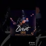 Zivert Credo Shrwd Dj Jon Radio Edit