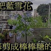 下面有根棒棒糖