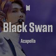 Acapella Black Swan